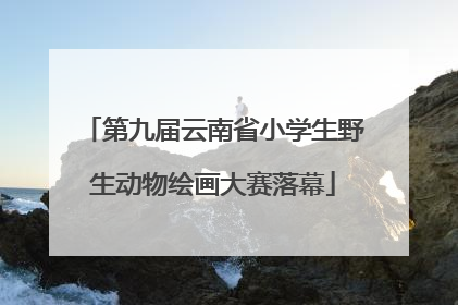 第九届云南省小学生野生动物绘画大赛落幕
