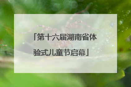 第十六届湖南省体验式儿童节启幕