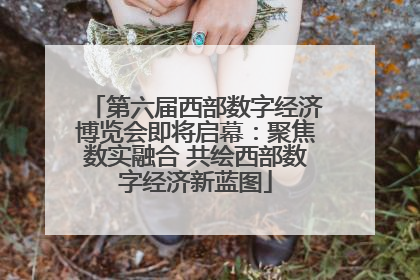 第六届西部数字经济博览会即将启幕：聚焦数实融合 共绘西部数字经济新蓝图