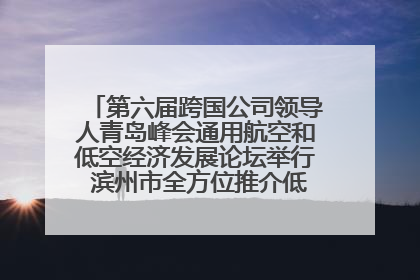 第六届跨国公司领导人青岛峰会通用航空和低空经济发展论坛举行 滨州市全方位推介低空经济发展优势