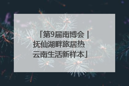 第9届南博会｜抚仙湖畔旅居热 云南生活新样本