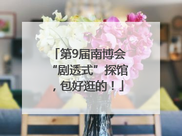 第9届南博会“剧透式”探馆，包好逛的！