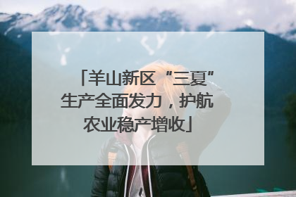 羊山新区“三夏”生产全面发力，护航农业稳产增收