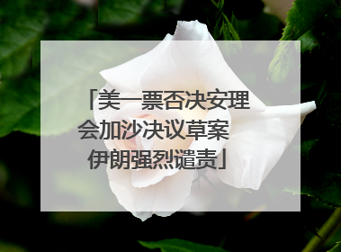 美一票否决安理会加沙决议草案 伊朗强烈谴责