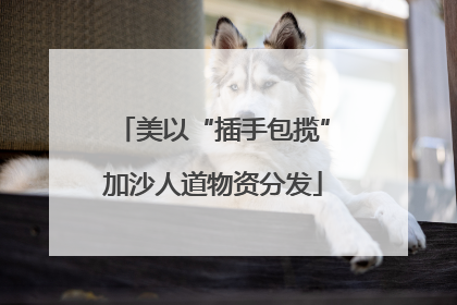 美以“插手包揽”加沙人道物资分发