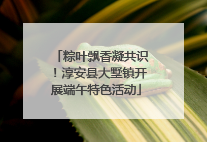 粽叶飘香凝共识！淳安县大墅镇开展端午特色活动