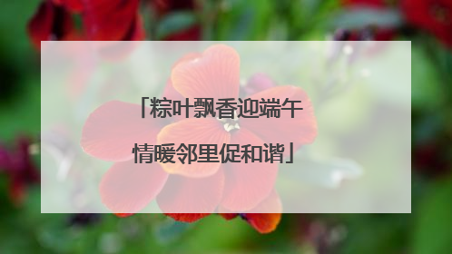 粽叶飘香迎端午 情暖邻里促和谐