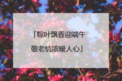 粽叶飘香迎端午 敬老情浓暖人心