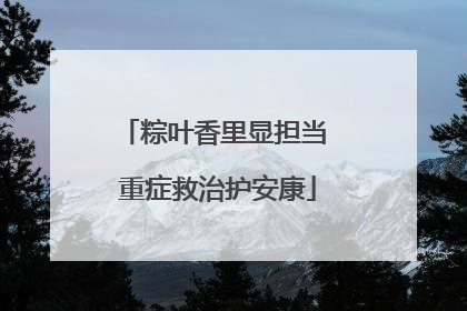 粽叶香里显担当 重症救治护安康