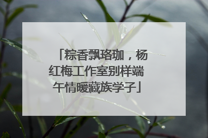 粽香飘珞珈，杨红梅工作室别样端午情暖藏族学子