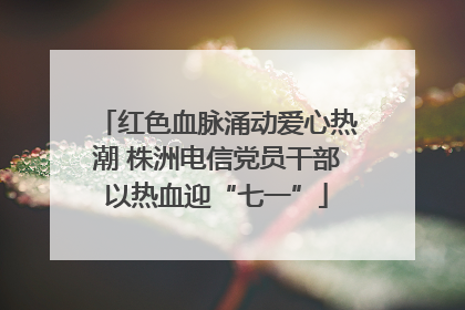红色血脉涌动爱心热潮 株洲电信党员干部以热血迎“七一”