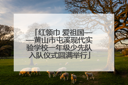 红领巾 爱祖国——黄山市屯溪现代实验学校一年级少先队入队仪式圆满举行