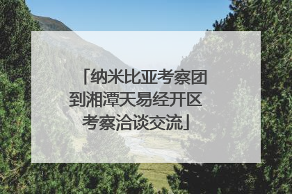 纳米比亚考察团到湘潭天易经开区考察洽谈交流