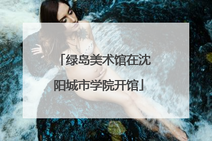 绿岛美术馆在沈阳城市学院开馆