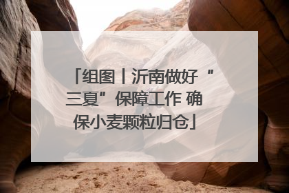 组图丨沂南做好“三夏”保障工作 确保小麦颗粒归仓