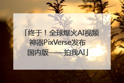 终于！全球爆火AI视频神器PixVerse发布国内版——拍我AI