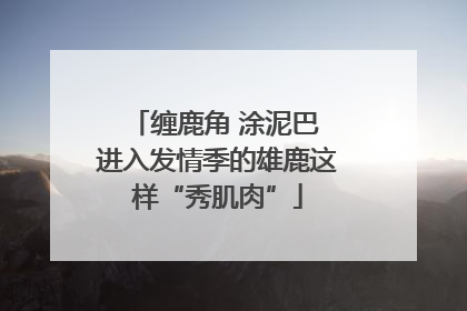 缠鹿角 涂泥巴 进入发情季的雄鹿这样“秀肌肉”