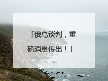 俄乌谈判，重磅消息传出！