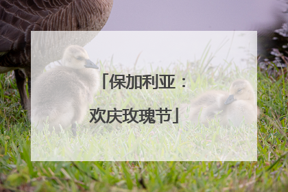 保加利亚：欢庆玫瑰节