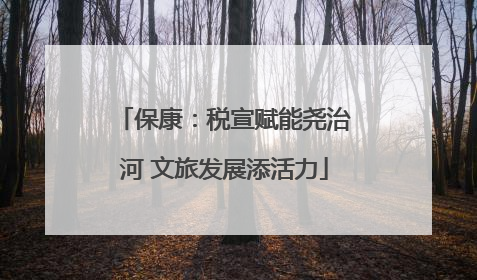 保康：税宣赋能尧治河 文旅发展添活力
