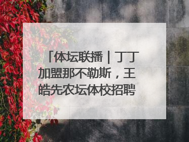 体坛联播｜丁丁加盟那不勒斯，王皓先农坛体校招聘笔试第一