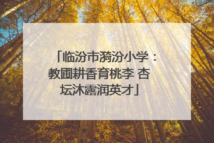 临汾市漪汾小学：教圃耕香育桃李 杏坛沐露润英才
