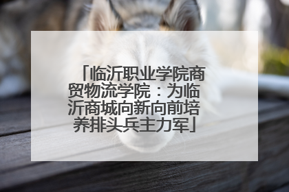 临沂职业学院商贸物流学院：为临沂商城向新向前培养排头兵主力军