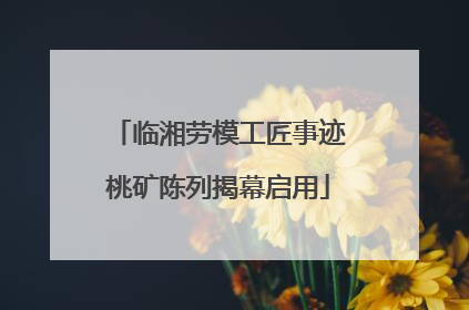 临湘劳模工匠事迹桃矿陈列揭幕启用