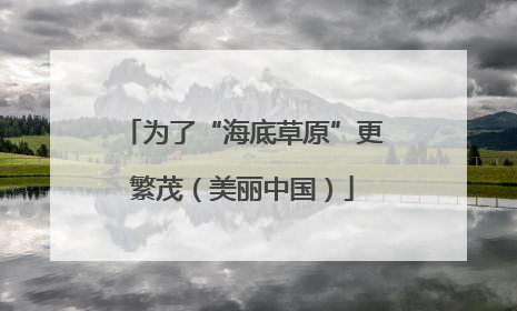 为了“海底草原”更繁茂（美丽中国）