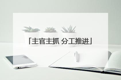 主官主抓 分工推进