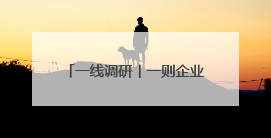 一线调研丨一则企业简介引发强强合作 老外贸开拓出新市场