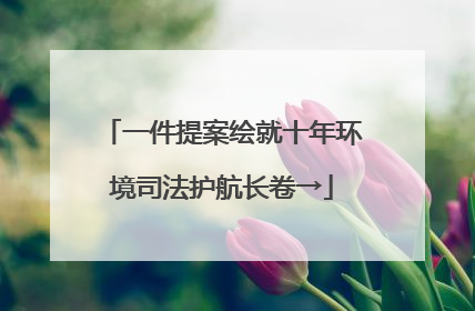 一件提案绘就十年环境司法护航长卷→