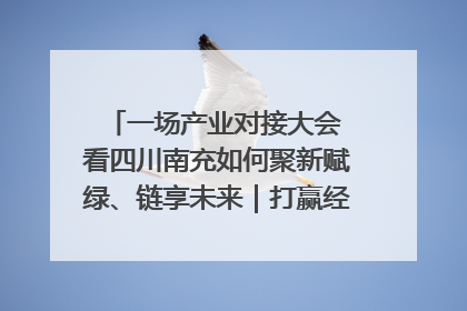 一场产业对接大会 看四川南充如何聚新赋绿、链享未来｜打赢经济发展翻身仗