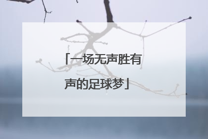 一场无声胜有声的足球梦