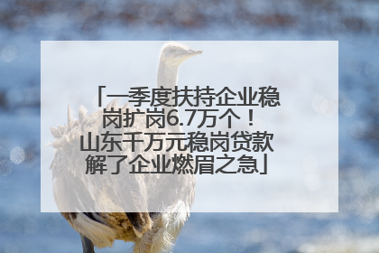一季度扶持企业稳岗扩岗6.7万个！山东千万元稳岗贷款解了企业燃眉之急