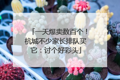 一天爆卖数百个！杭城不少家长排队买它：讨个好彩头