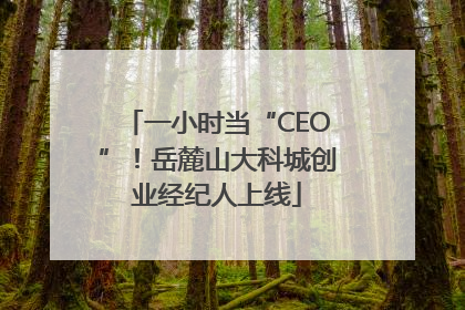 一小时当“CEO”！岳麓山大科城创业经纪人上线