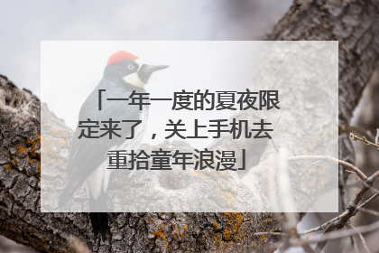 一年一度的夏夜限定来了，关上手机去重拾童年浪漫