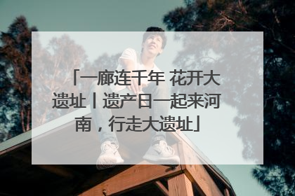 一廊连千年 花开大遗址丨遗产日一起来河南，行走大遗址
