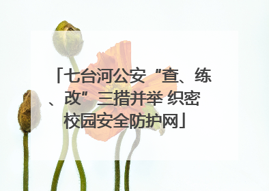 七台河公安“查、练、改”三措并举 织密校园安全防护网