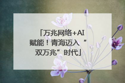 万兆网络+AI赋能！青海迈入“双万兆”时代