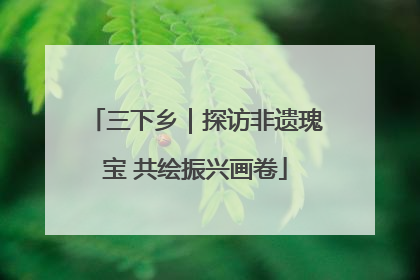 三下乡｜探访非遗瑰宝 共绘振兴画卷