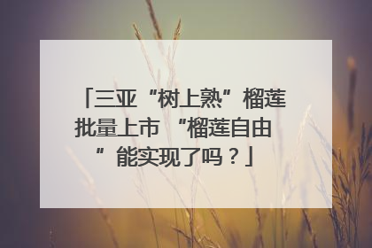 三亚“树上熟”榴莲批量上市 “榴莲自由”能实现了吗？