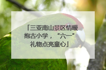 三亚南山景区情暖抱古小学，“六一”礼物点亮童心