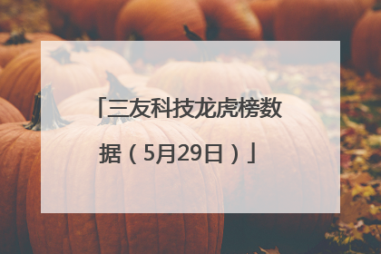 三友科技龙虎榜数据（5月29日）