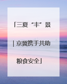 三夏“丰”景｜京冀携手共助粮食安全