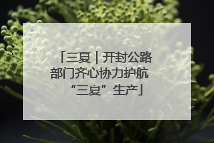 三夏｜开封公路部门齐心协力护航“三夏”生产