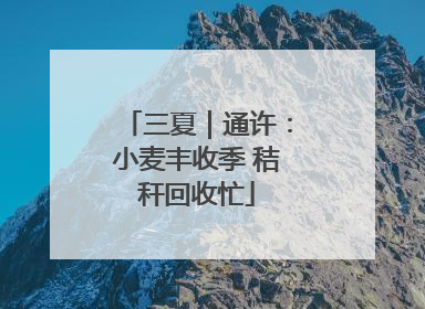 三夏｜通许：小麦丰收季 秸秆回收忙