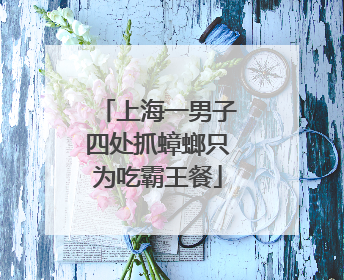 上海一男子四处抓蟑螂只为吃霸王餐
