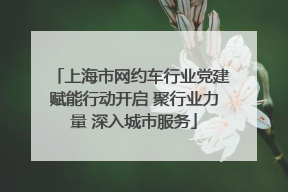 上海市网约车行业党建赋能行动开启 聚行业力量 深入城市服务